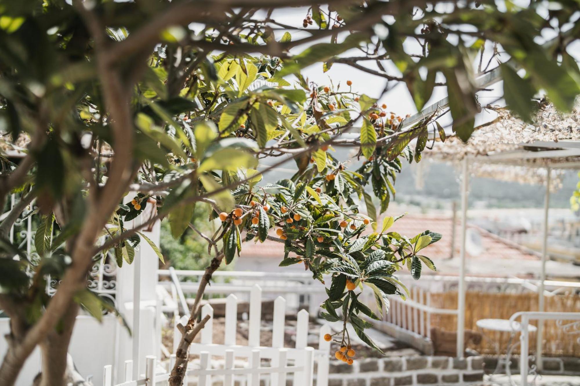 The Garden House Apartment Kavala Exterior foto