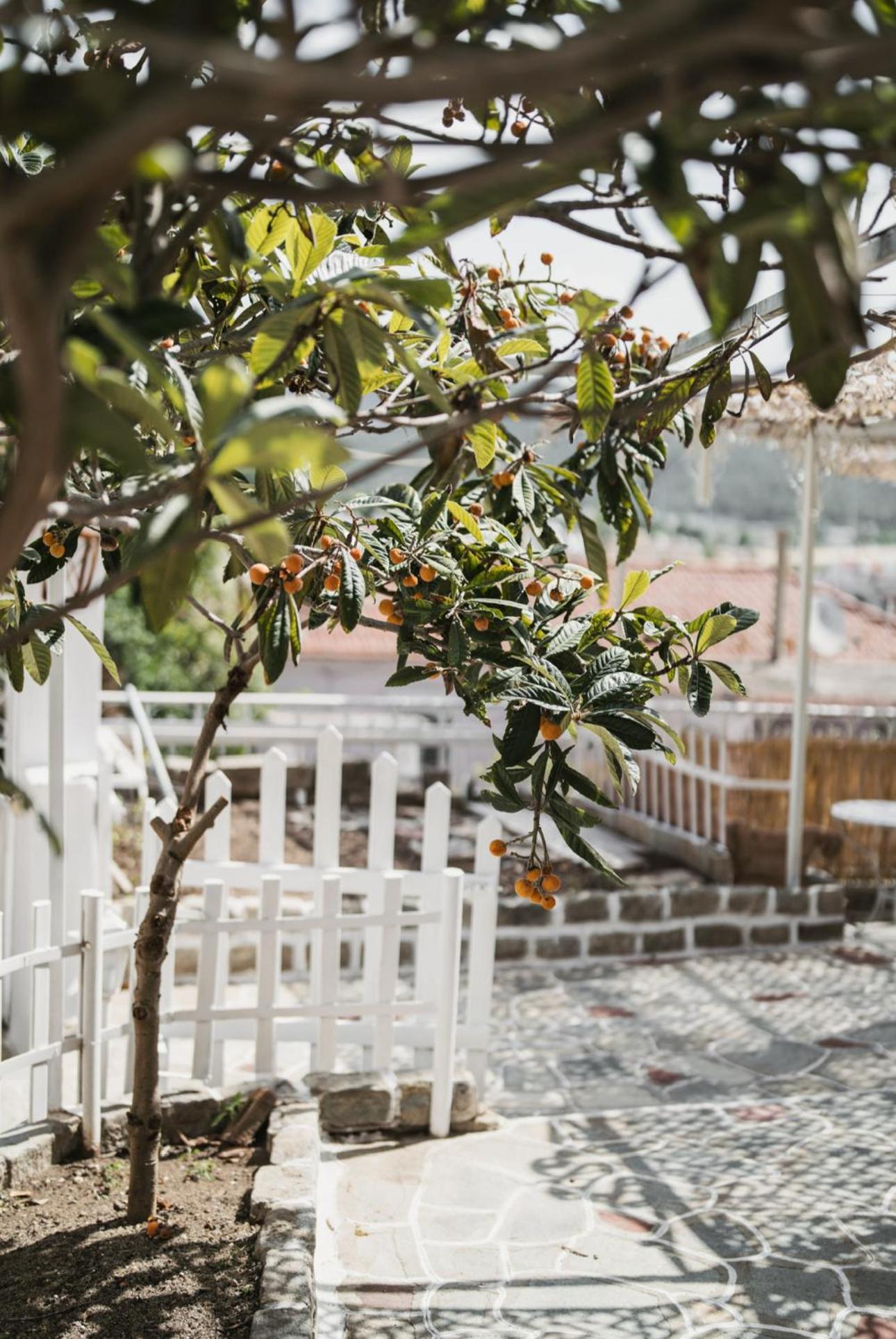 The Garden House Apartment Kavala Exterior foto
